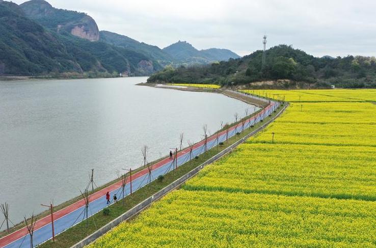 （生态）（3）油菜花开布谷湖