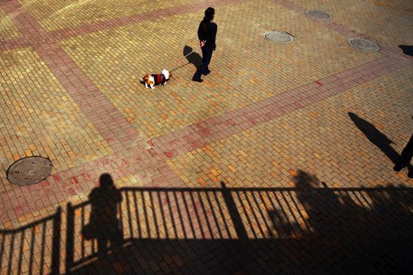 居民用仇人名字为狗取名 被判构成侵犯姓名权