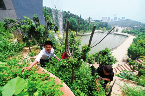 大众创业 万众创新系列报道：