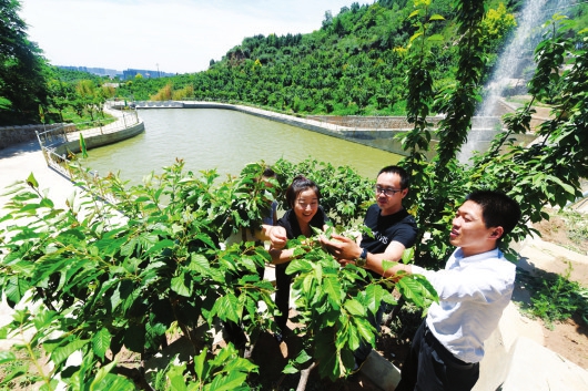 大众创业 万众创新系列报道：