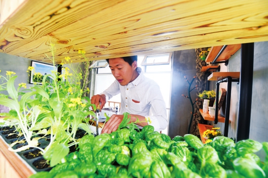 大众创业 万众创新系列报道：