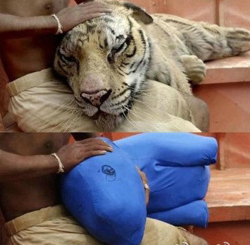 没有特效的电影图盘点 真相竟然是这个样子