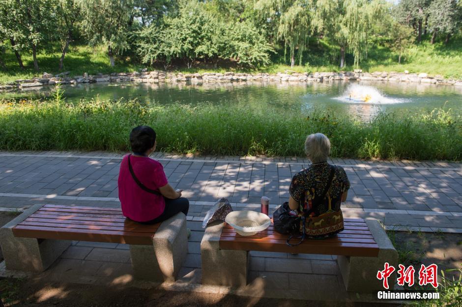 圆明园“廓然大公”修复完工 生态景观焕然一新