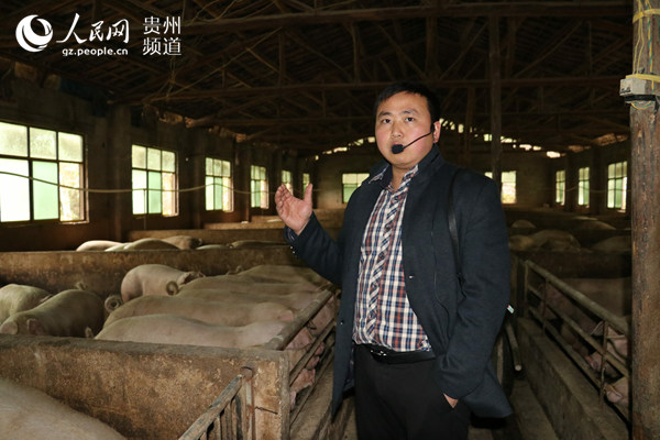 郑培坤介绍自己的养猪经验。周雅萌 摄