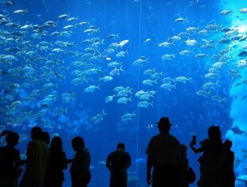 （经济）（2）海南：发展全域旅游 打造海岛度假胜地